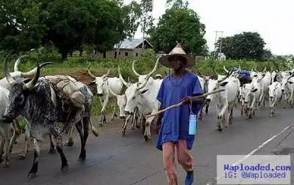 Police Confirms Incidents of Herdsmen Attack in Rivers State